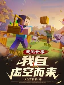 我的世界:我自虚空而来
